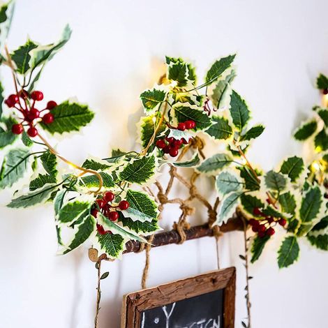 Ghirlanda luminosa natalizia da 2 m con 20 LED e bacche rosse, con telecomando, ideale per interni ed esterni. Per feste di Natale, Capodanno, casa, camera da letto, parete e giardino. (1/5)