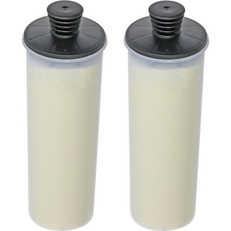 (Pack of 2) Descaling filter cartridge compatible with the Karcher SC3 SC3MX Easyfix steam cleaner (1/5)