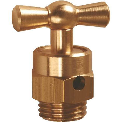 Guareski – Robinet purgeur laiton droit 1/4' (8x13) – Résistant à la corrosion – Pour systèmes de plomberie domestiques et industriels (1/4)
