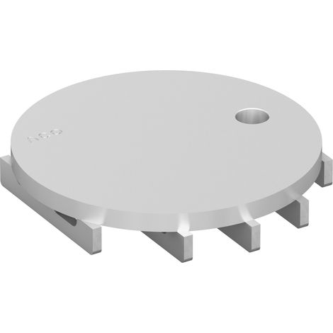 hygienische Abdeckplatte rund Kl.M 125 kN RH 1.4301
