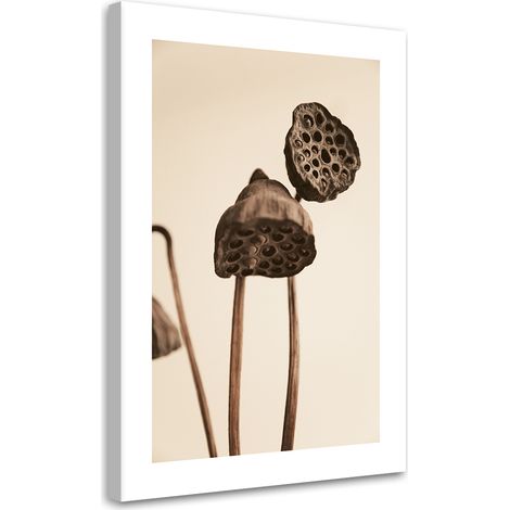 Tableau sur toile Fleurs de lotus séchées 40x60 (1/5)