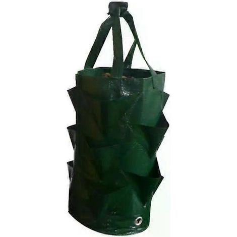 Sac de plantation de fraisiers de 3 gallons PE10. pochette de plantation suspendue colorée pour plantes fruitières et semis. (1/5)