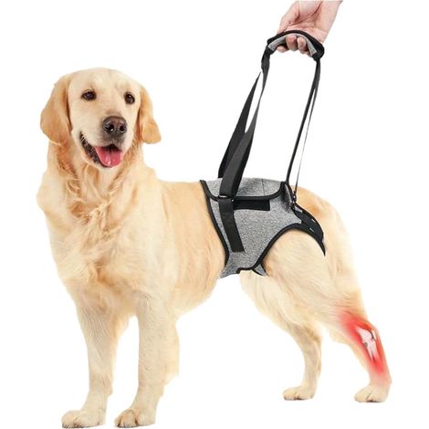 Harnais Chien Harnais de Levage Réglable Harnaiss pour Chien Gris 10-20KG Harnaiss de Levage pour Chiens Convient aux Chiens Âgés Blessés Ou Handicapés en Rééducation