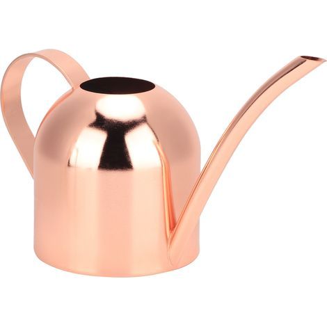 500 ml Gießkanne aus roségoldenem Edelstahl mit langem Ausguss für Zimmer- und Gartenpflanzen. (1/5)