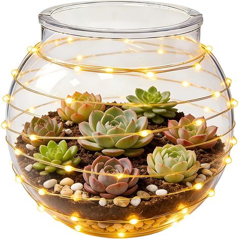 Klare Vase Transparent kugelförmige Aufbewahrungsschale Deko