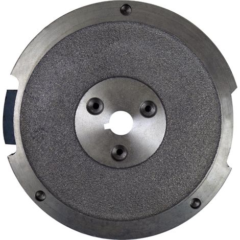 Démarreur à volant magnétique pour moteurs 4 temps 13cv (1/4)