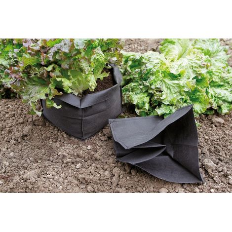 Lot de 12 Sacs de Protection pour Salade Bag Biocontrol (1/3)