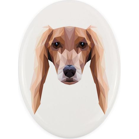 Persischer Windhund, Saluki - Teller mit Foto und geometrischer Aufschrift von Art-Dog