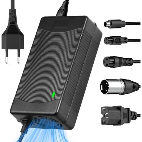 Chargeur universel pour vélos électriques, connecteurs 5 en 1, 163,8 W