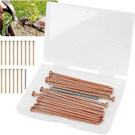 15 clous en cuivre pour éliminer les souches d'arbres. (1/5)