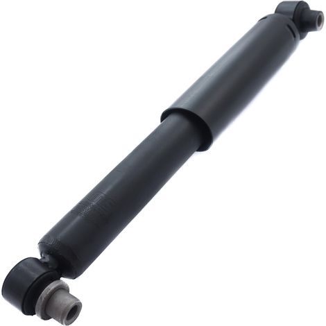 AMMORTIZZATORE POSTERIORE RENAULT SCENIC I, MEGANE Scenic (1/5)