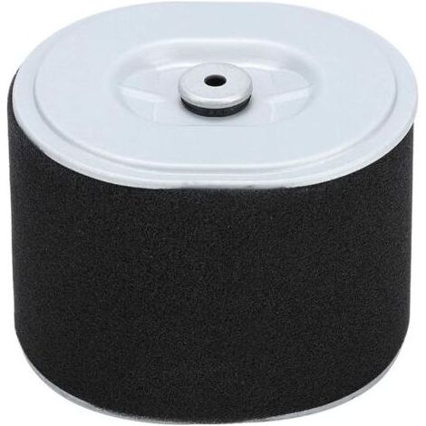 Filtre à Air Gx390 Filtre à Air Afze18 Filtre à Air Af Ze28 Moteur Gx390 Pièces de Nettoyeur Haute Pression Gx390 294, Accessoire de Remplacement de Filtre à Air pour Tondeuse à Gazon pour Moteur Hond (1/4)
