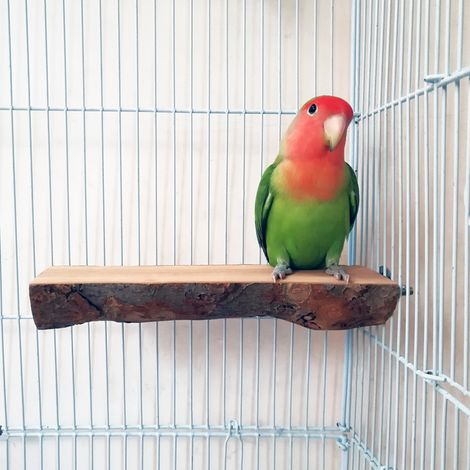 Lot de 2 perchoirs en bois pour perroquets, plateforme suspendue, accessoires pour cage à oiseaux (1/5)