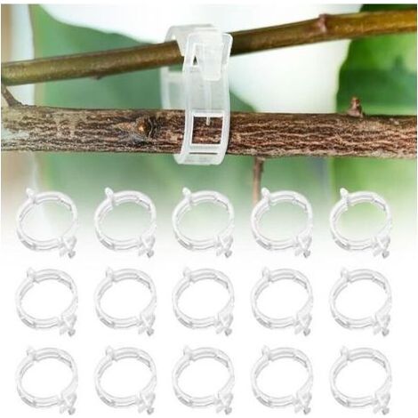 Tuteur Tomate 300 Pièces Support Plante grimpante tuteur Monstera Treillis Support pour Plantes grimpantes Clips de Support pour Plantes pour légumes PlantesTomates (300 pièces) (1/5)