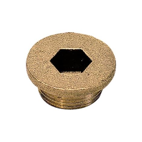 Bouchon obturateur Legris série 0202 M12 x 1 ( Prix pour Boîte de 10 )