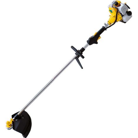 Decespugliatore 'PG330W' con motore a 2T avviamento manuale e completo di accessori (1/2)