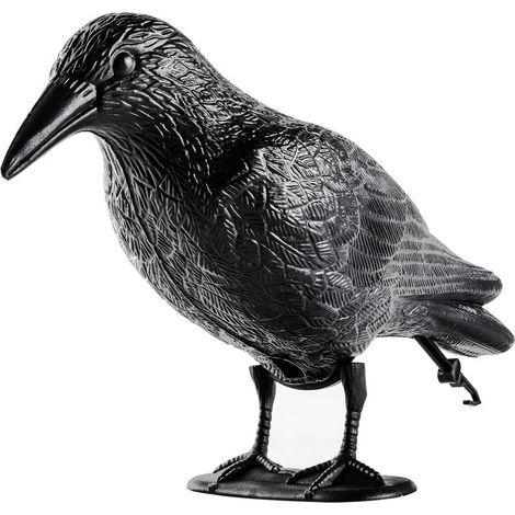 Répulsif anti-oiseaux pour balcons, toits et jardins. Éloigne les oiseaux. Fabriqué en polyéthylène de haute qualité. 1 unité. (1/5)
