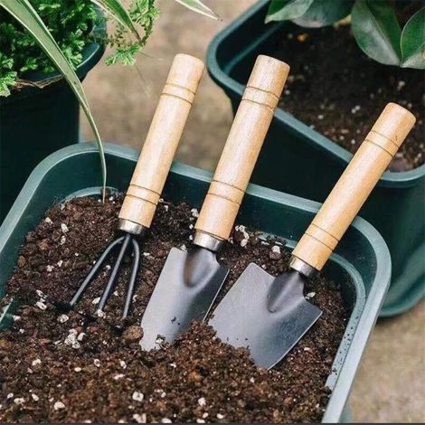LOLLANDA Generic Lot de 3 outils de jardin – Petite pelle de jardin, mini râteau, truelle – Marron clair, Compact et facile à manipuler – Jardin (1/5)