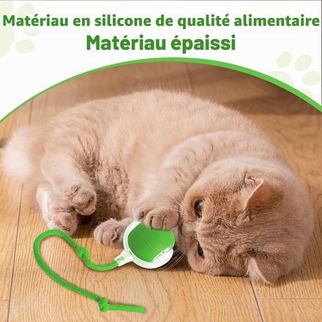 Rolling Ball for Cats and Dogs, Interactive Rolling Ball for Cats, Interactive Dog Toy That Moves By Yourself (Green) (1/4)