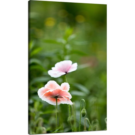 Leinwanddruck Botanik Mohnblumen 70x120 cm