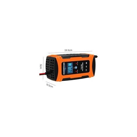 Caricabatterie per auto da 12 V 20 A, caricabatterie a impulsi da 12 V 20 A per riparazione e attivazione, compatibile con batterie al piombo-acido (1/3)