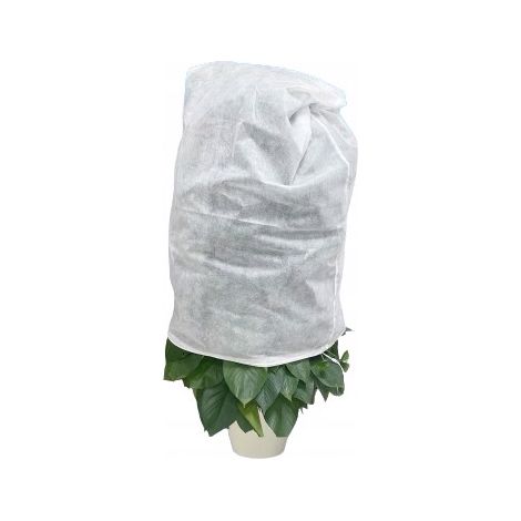 Winterhaube für Pflanzen aus Agrotextilien