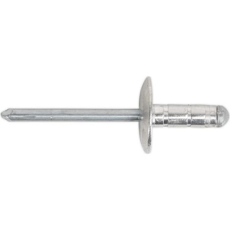 Sealey Aluminium Multi-Grip Large Flange Rivet 4.8 x 19mm - Pack of 200 RM4819L (1/2)