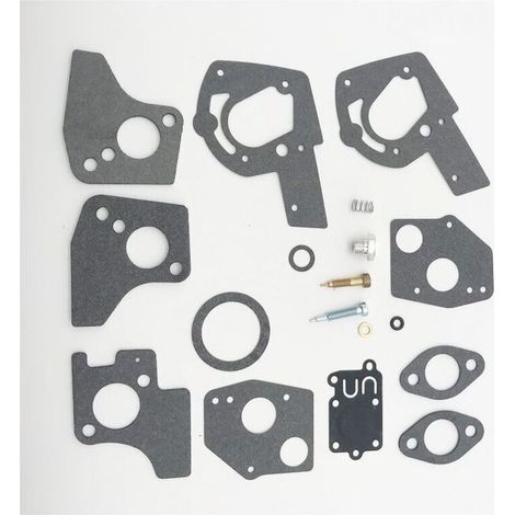 Kit de révision de carburateur Briggs & Stratton pour moteurs 3-5 CV avec membranes et joints (1/5)