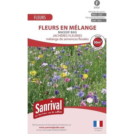 Jachère fleurie Massif Bas