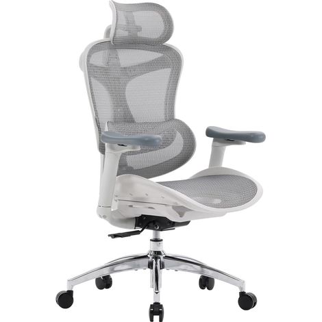 SIHOO Doro C300 Chaise de Bureau Ergonomique avec Accoudoirs Ultra Doux en 3D, Soutien Lombaire Dynamique pour Chaise Bureau à Domicile, Fauteuil de Bureau avec Dossier réglable(Grigio)