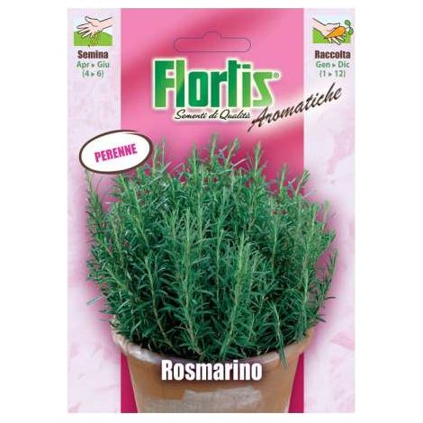 Rosmarino