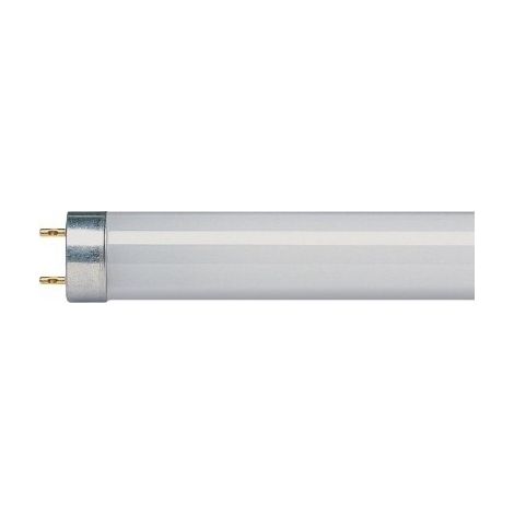 Standard-Fluoreszierender Rohr G5 Weiß Kalt 35 1449 X 16 3290