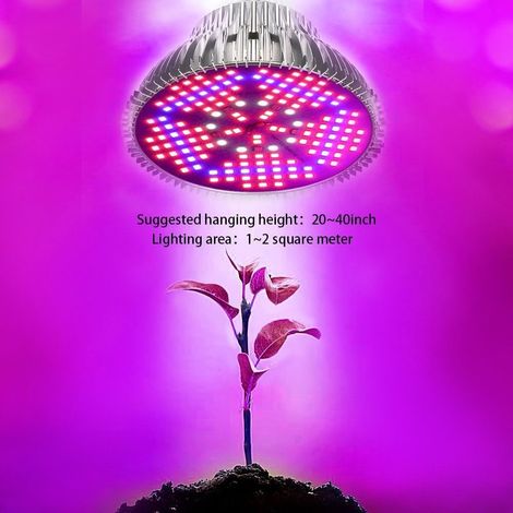 Filiyano-Lot de 2 ampoules LED horticoles 100 W, spectre complet, pour la culture de plantes d'intérieur, serres et hydroponie, culot E26/E27.