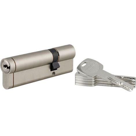 Zylinder Thirard Transit 1 doppelter Eingang 30x80mm 5 Schlüssel vernickelt (1/2)