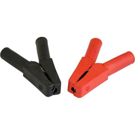 ELMAG Polklemmen-Set je 1x rot + schwarz, für EUROCHARGE 60&120 - SB (1/2)