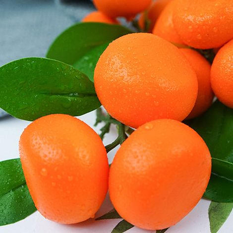 Oranges artificielles, fausses oranges, mini-oranges décoratives pour la maison, les fêtes, la cuisine et les festivals. (1/5)