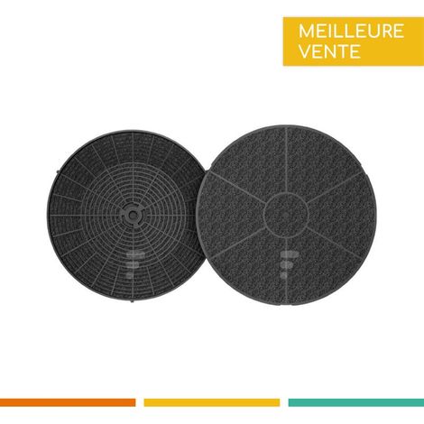 Filtre à charbon Mod.v400, cod. CFC0038668 (1/6)