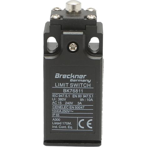 Finecorsa con attuatore a pistone 250V/380V, 10A IP65 Breckner Germany (1/4)