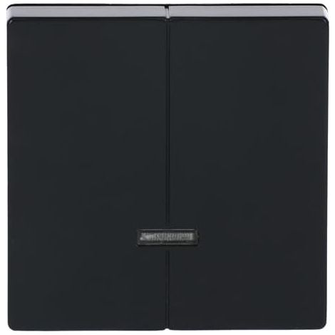 Busch-Jaeger Élément de commande pour variateur double bouton avec lampe à incandescence anthracite - Plattform 63 (6545-81), 2CKA006599A2906