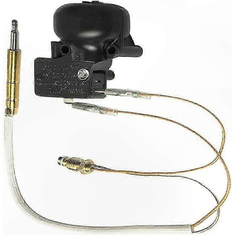 Thermocouple et interrupteur d'inclinaison pour radiateur de terrasse, compatible gaz propane extérieur (1/5)