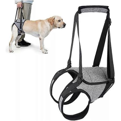 Harnais de levage pour chien, harnais pour pattes arrière (1/5)