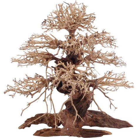 Premium Bonsai Baum XL 40x20x40 Wurzel Holz Aquarium Deko Aquascaping