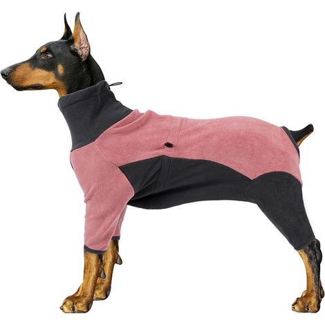 Vêtements pour chiens, vêtements pour grands chiens, vêtements d'hiver, vêtements pour quatre pattes (1/5)