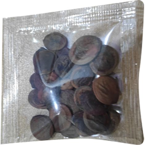 20 graines de glycine bleue pour balcon, pelouse et jardin. (1/4)