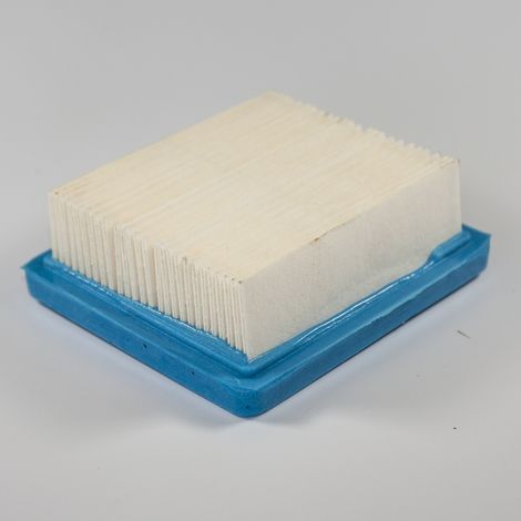 Filtro aria Tecumseh Vector 5HP/ Sinergy 55 - 005221