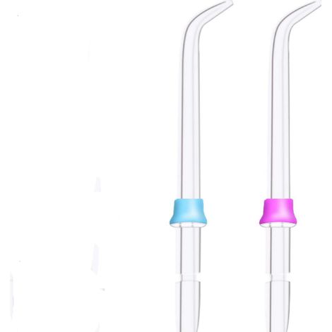 Lot de 2 embouts de rechange pour hydropulseur Waterpik (modèles WP-100, WP-450, WP-250, WP-300, WP-660 et WP-900) (1/5)