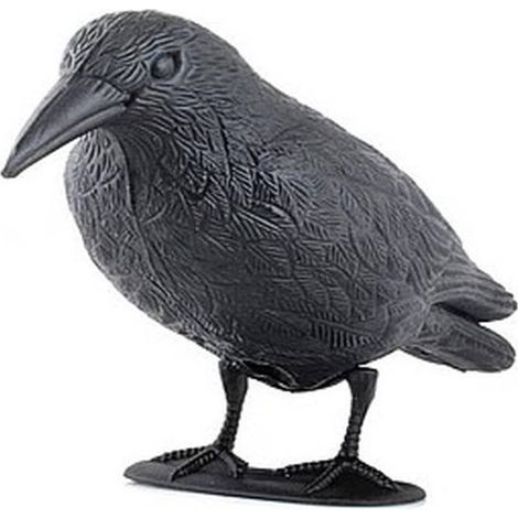 Corbeau Épouvantail 38 cm - Plastic - Décoration de Jardin - Effet Dissuasif - Efficace et robuste - Beast (1/5)