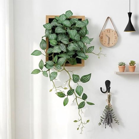 Tableau Végétal Feuilles de Pépéromia, Cadre 30x48cm – Décoration Murale Artificielle Salon, Bureau, Chambre – Plante Artificielle (1/5)