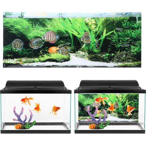 Sticker mural adhésif en PVC, décor pour aquarium, motif fond marin, petits poissons et plantes aquatiques, 61 x 30 cm (1/5)