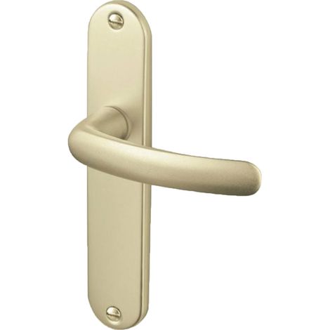 Ensemble de porte budget - Décor : Champagne - Modèle : Bec de cane - VACHETTE (1/3)